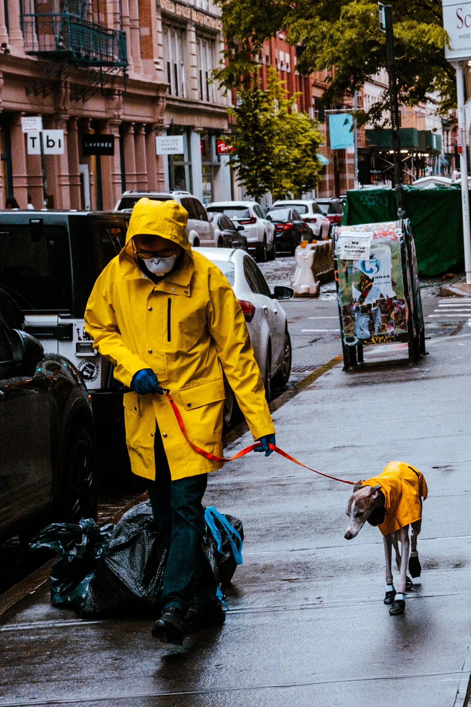 Street photograph — dog walker in a yellow raincoat